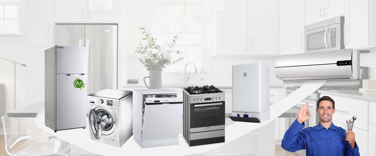 Eynesil Electrolux Servisi